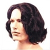 Beethoven Wig