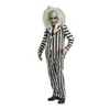 Beetlejuice Adult Costume