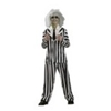 Beetlejuice Teen Costume