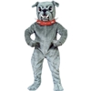 Bull Dog With Collar Mascot - Sales