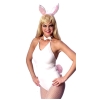 Bunny - Sexy Costume Kit