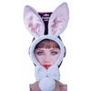 Bunny Accessory Kit
