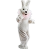 Deluxe Easter Bunny Rental The Costumer Albany New York Schenectady New York