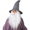 Lord of the Rings Gandalf Wig & Beard Set