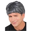 Men's Short Wig