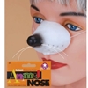 Mouse Animal Nose