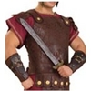 Roman Chest Cover