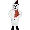 Smiling Snowman Mascot - Sales