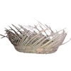 Straw Bird's Nest Hat