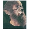 Werewolf Face Application