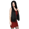 Witch Wig - Long