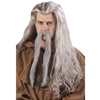 Wizard Wig