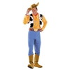 Toy Story Woody Deluxe Adult Costume