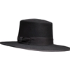 Zorro Felt Hat