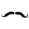 Muskateer Moustache