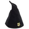 Harry Potter Student Hat