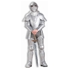 Knight in Shining Armor Adult Costume