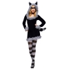 Racy Raccoon Adult Costume