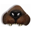 Bear Animal Nose