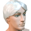 Men's Costume Wig Economy