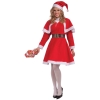 Miss Santa Adult Costume