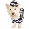 Pet Prisoner Costume