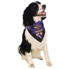 Pet Trick or Treat Bandana