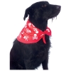 Pet Skull & Crossbones Bandana