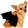 Pet Bat Wings