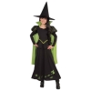 The Wizard of Oz Wicked Witch of the West Kids Costume