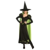 The Wizard of Oz Wicked Witch of the West Adult Costume