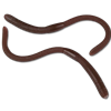 Fake Rubber Worms