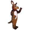 Kody Koyote Mascot - Sales