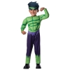 Avengers Hulk with Muscles Toddler Costume