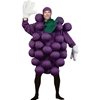 Purple Grapes Adult Costume