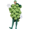 Green Grapes Adult Costume