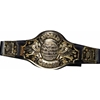 Wrestling Champion Belt