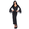 Gothic Dress Adult Costume