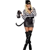 Cat Burglar Sexy Adult Costume
