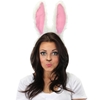 Moveable Rabbit Ears