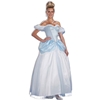 Storybook Princess Adult Costume