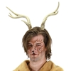 Deer Antlers