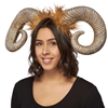 Ram Horns