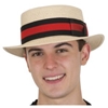 Natural Straw Skimmer Hat