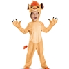 Kion Deluxe Toddler Costume