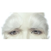 Better Quality Santa Eyebrows