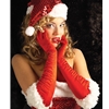 Sexy Miss Santa Gloves