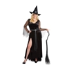 Rich Witch Adult Plus Size Costume