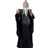 Sensei Master Adult Costume