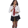 Harry Potter Gryffindor Tie